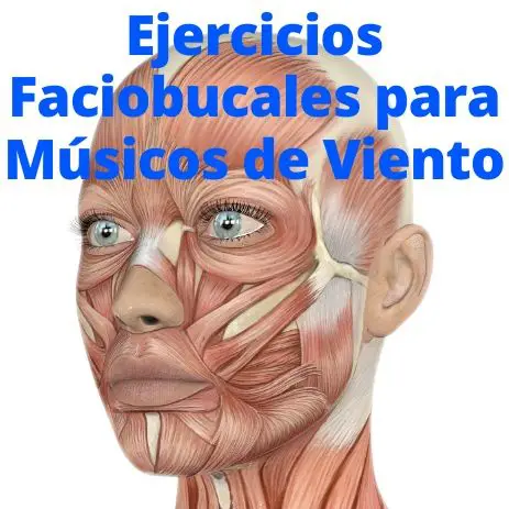 Curso de Ejercicios Faciobucales para Músicos de Viento