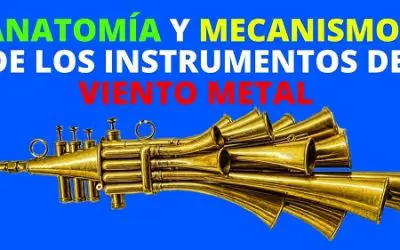 Anatomía y Funcionamiento de los Viento Metales