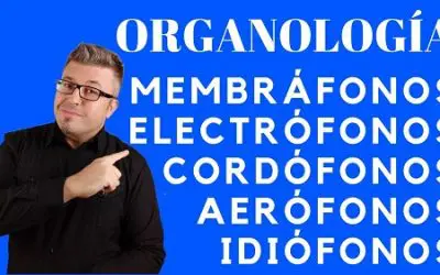 ORGANOLOGÍA MUSICAL Clasificación de los Instrumentos Musicales