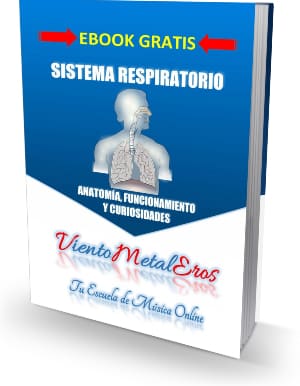 Ebook gratis del sistema respiratorio