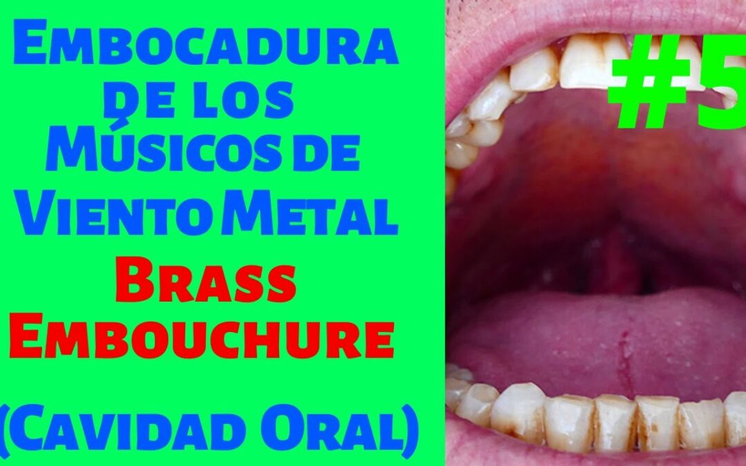 Curso de Embocadura del Viento Metal #5 | Cavidad Oral y otros Resonadores