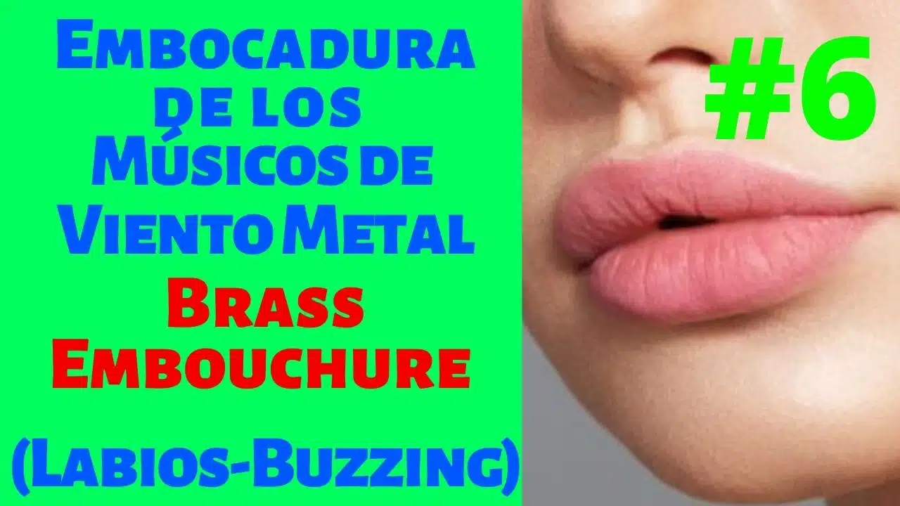 Curso de Embocadura del Viento Metal 6 labios y buzzing