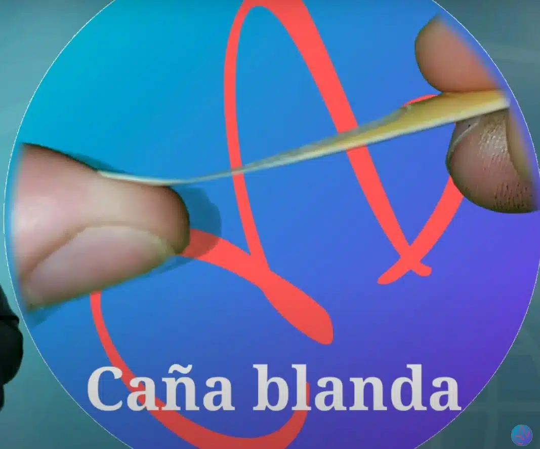 caña o lengüeta blanda del número 2