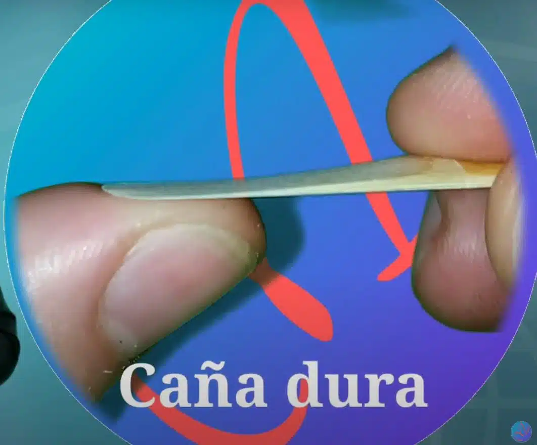 caña o lengüeta blanda del número 3