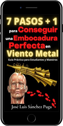 ebook libro vientometaleros